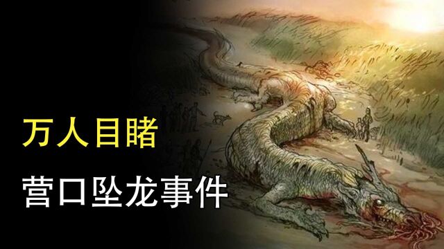 揭秘营口坠龙真相,数万人亲眼目睹的龙,到底是什么?