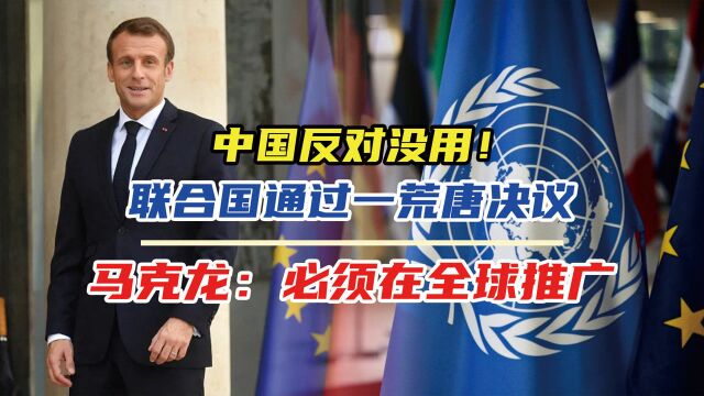 中国反对没用!联合国通过一荒唐决议,马克龙:必须在全球推广