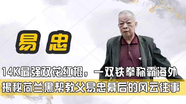 14K最强双花红棍,一双铁拳称霸海外,揭秘荷兰黑帮教父易忠风云史