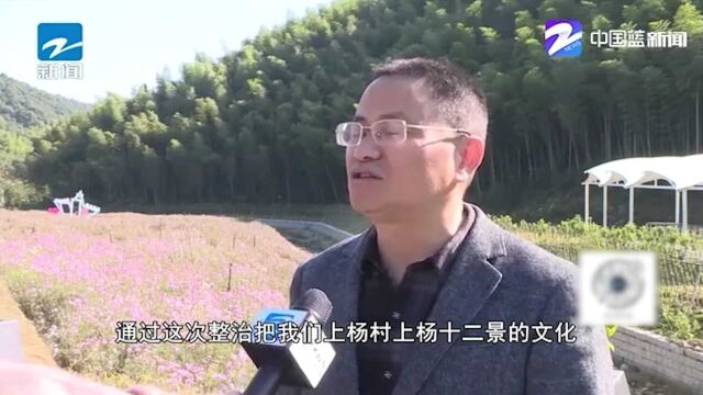 湖州德清:高质量建设水利项目 为共同富裕注入“活水”