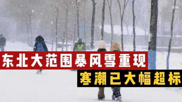 特大暴雪!东北大范围暴风雪重现,寒潮已大幅超标