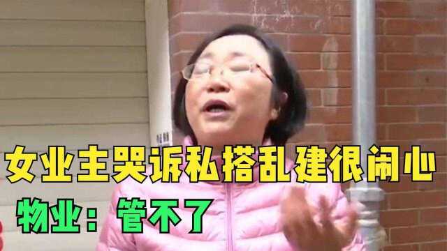 业主乱搭乱建白棚子,女邻居找居委诉苦,物业:管不了 纪录片