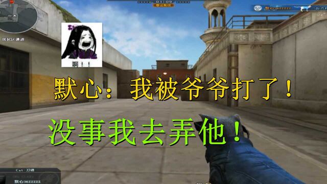 CF天天:好兄弟能跟我Rush B吗?默心:好兄弟?