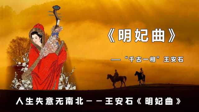 王安石为昭君出塞翻案,郭沫若为何说其闯了“诗祸”?