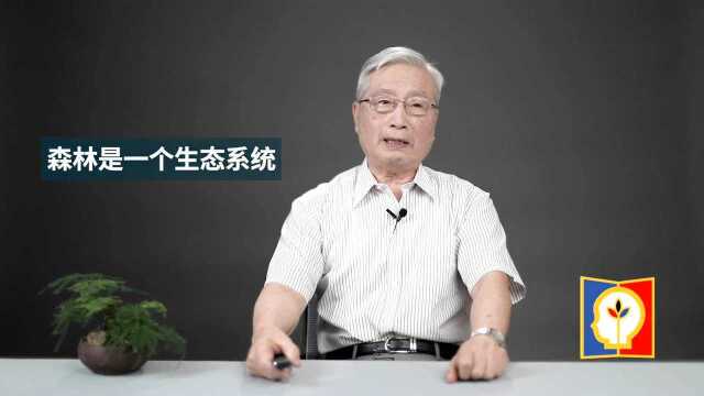 科学家讲座第四期:认识森林