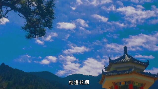 《旅途——贺兰山国家森林公园》古渊24