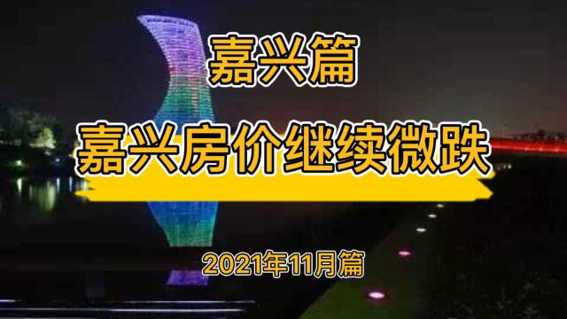 嘉兴房价继续微跌,降维观房势(2021年11月篇)