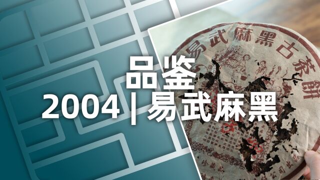 小喜年:2004年的易武麻黑品鉴报告,你喝过麻黑寨的普洱茶吗?