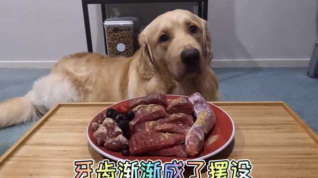 「土豆日记」牙齿渐渐成了摆设