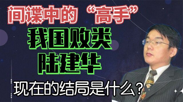 我国败类陆建华,现在的结局是什么?