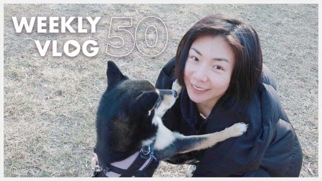 Weekly Vlog 50.开心!这周发现了一个宝藏公园!