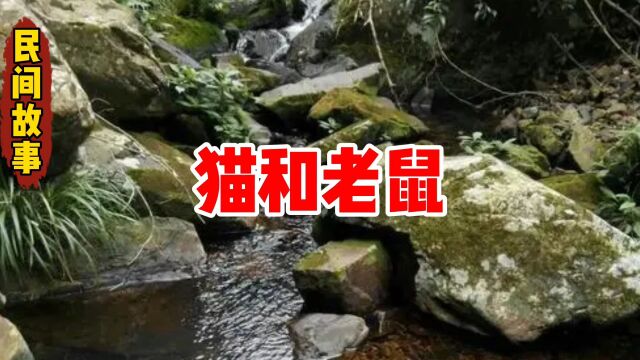 民间故事《猫和老鼠》