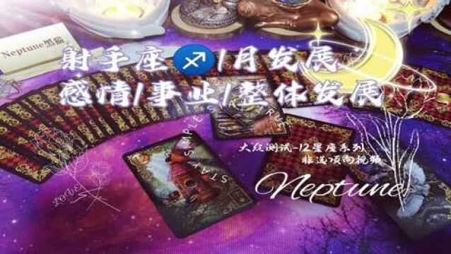 黑猫Tarot,射手座1月发展