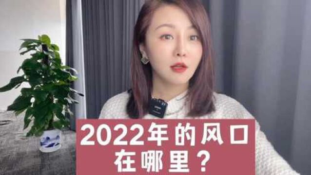 2022年的风口在哪里?