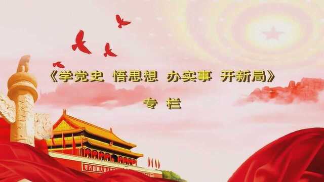 《学党史 悟思想 办实事 开新局》(第51期) 