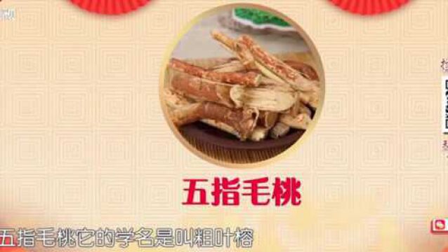 一种腐生菌“姬松茸”,搭配食材,能提高人体免疫力|健康大问诊