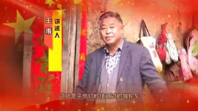 今天下午,六安12位持宝人现场“赛宝”