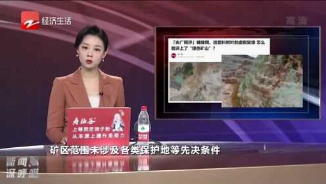 铺绿网 挂塑料树叶的虚假复绿 怎么就评上“绿色矿山”?