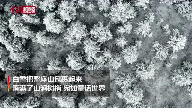 四川壤塘雪景美如仙境