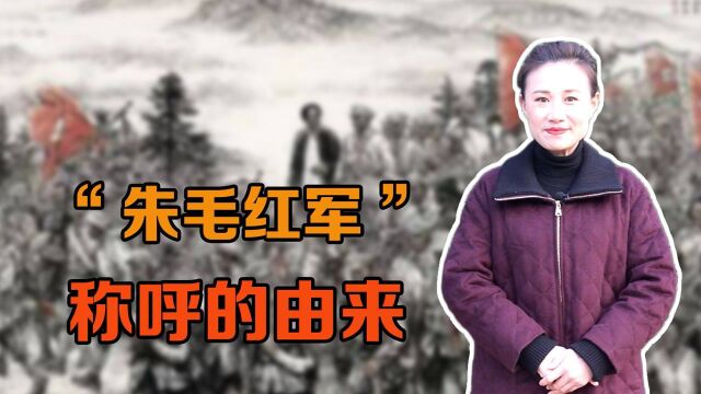 “朱毛红军”这个称呼,是从什么时候开始叫的,又为何消失了