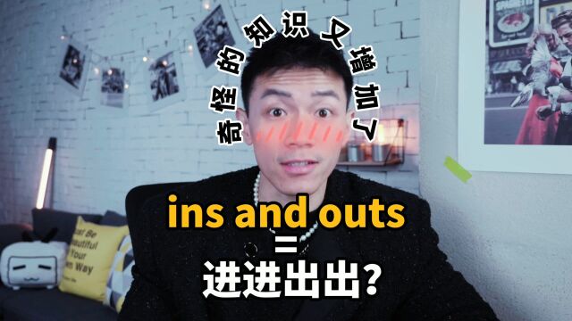 “ins and outs”到底啥意思?