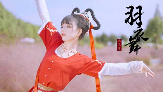 是你家的小姑娘吗?粉黛草太美了!中国风舞曲《羽衣舞》