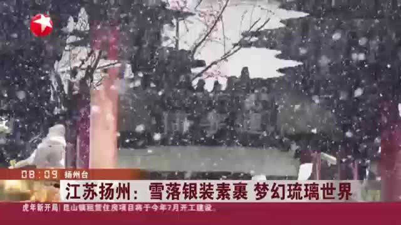 江苏扬州:雪落银装素裹 梦幻琉璃世界