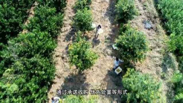 常山“两山银行”搭建“生态云脑”平台,汇聚1585项生态资源 智慧“大脑”走活闲置资源“一盘棋”