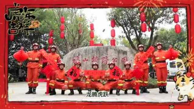 迎春纪实 | 虎年当如虎,学虎长精神