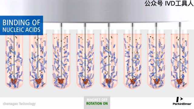 提核酸,做发光,Chemagen 磁珠助你一臂之力