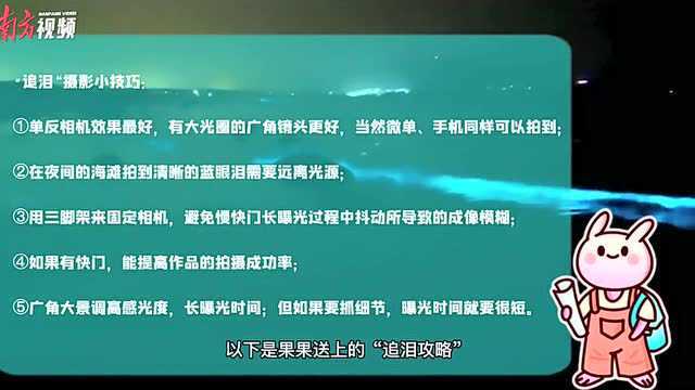 厦门惊现“发光的海”,原来在广东这些地方也有|+游君