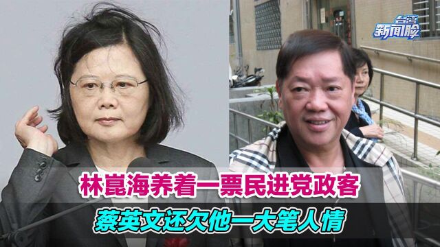 台湾媒体大亨林崑海养着一票民进党政客,蔡英文还欠他一大笔人情