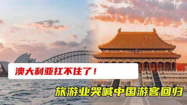 澳大利亚扛不住了!旅游业哭喊中国游客回归,旅游业出现120亿黑洞