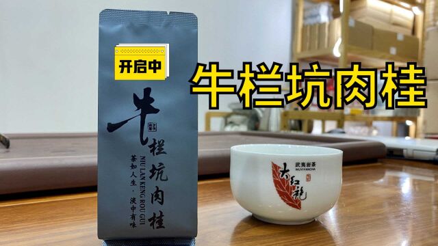 试喝牛栏坑肉桂:18000元一斤的茶叶,福建省批发最贵的茶!