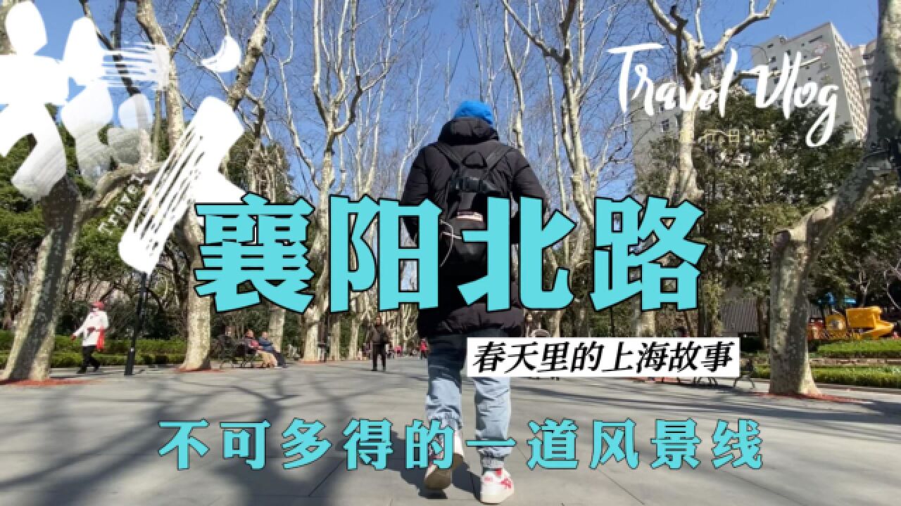 春天里的上海故事,襄阳北路,静谧悠长,烟火浓郁,不可多得的一道风景线