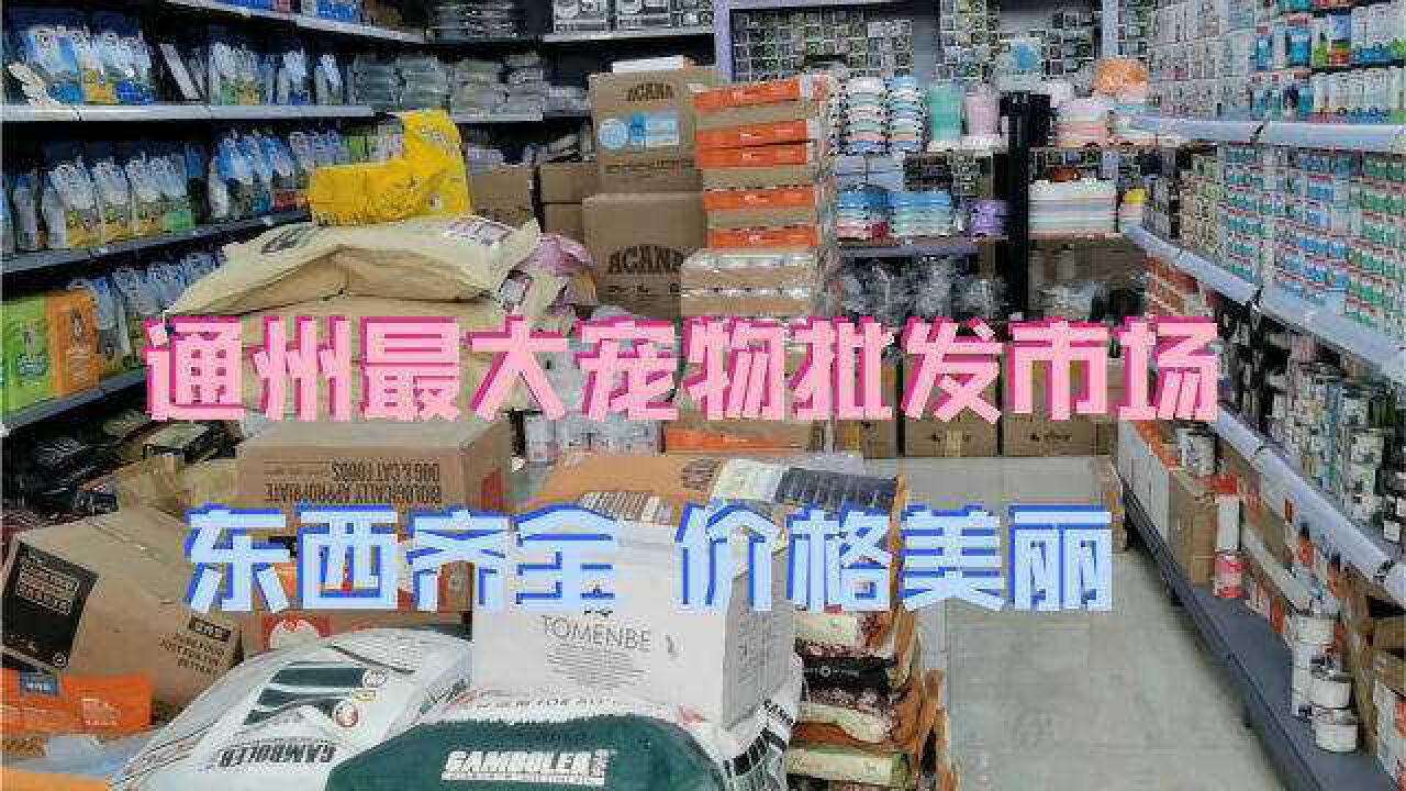 北京通州张家湾很大宠物批发市场 都来批发 价格还挺便宜 推荐