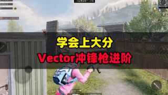 【活动】Vector实战进阶让你在近战中战无不胜