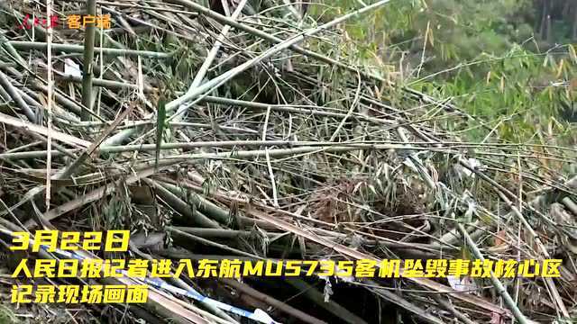 东航MU5735坠机核心区现场发现身份证、银行卡、钱包……目击者还原坠毁瞬间→