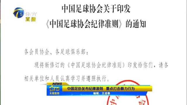 中国足协发布纪律准则,重点打击暴力行为