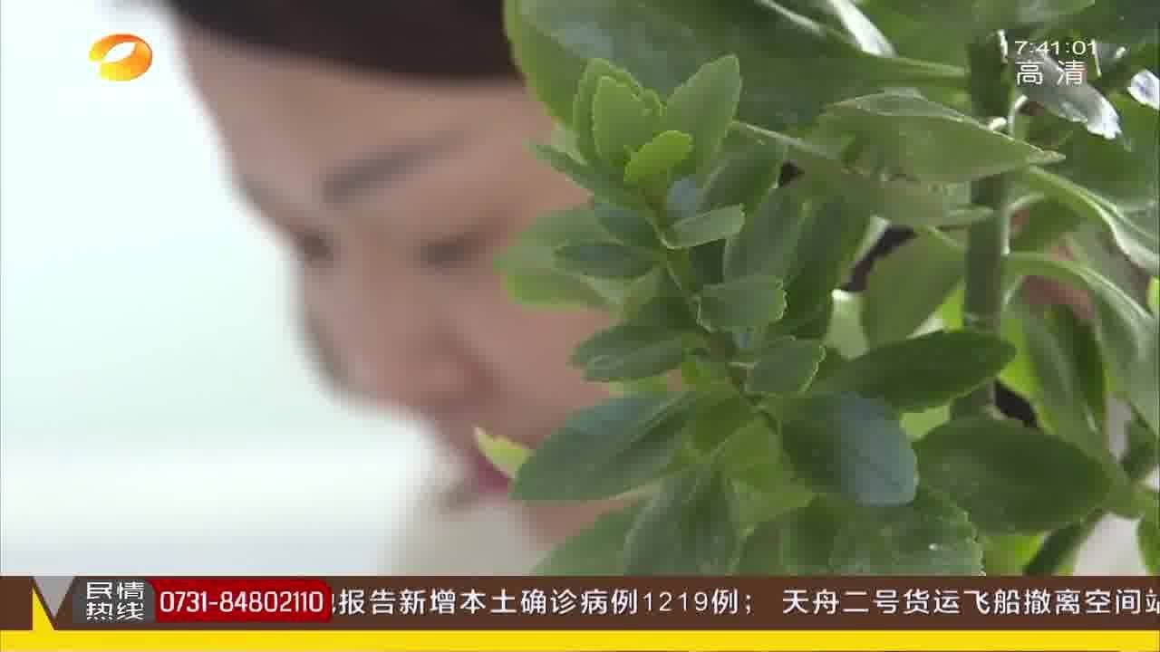 成本仅3元!“金牌销售”转行当骗子 制售冒牌彩妆获利百万!