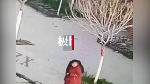 【视频】河南长葛一7岁女童失踪两天,当地40多名救援队员正搜寻