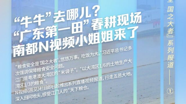 “牛牛”去哪儿?直击“广东第一田”春耕现场