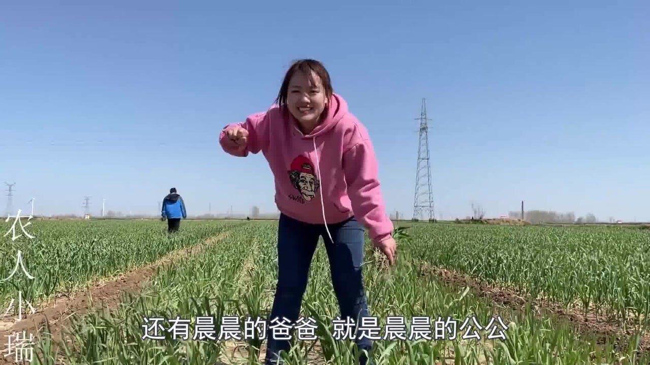 小瑞跟随大部队给自己挣嫁妆,晨晨二岗带着小超,明弟:等等我