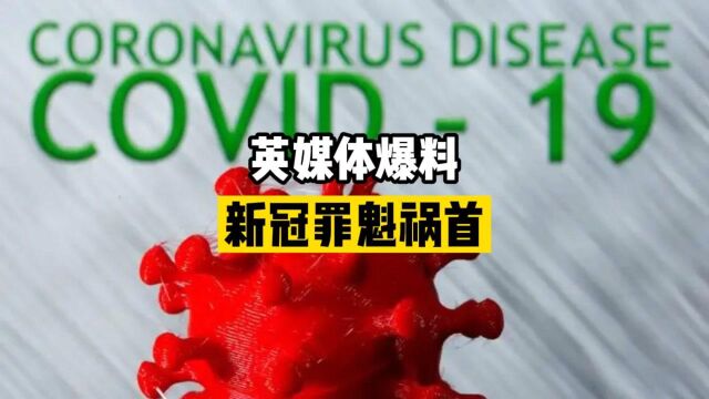 英国媒体爆料“新冠病毒就是美国公司制造的!”