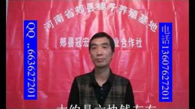 (第二部)河南郏县养蝎大王陈超峰揭秘养蝎子是真的骗局吗?蝎子养殖技术经验分享