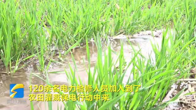 昌乐县120余名检修人员加入农田灌溉保电行动 保障夏粮丰收