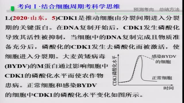 高考课程||天水市高考二轮复习课例:生物老师讲重点