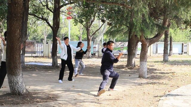 淮北实用拳法学习小组十三式