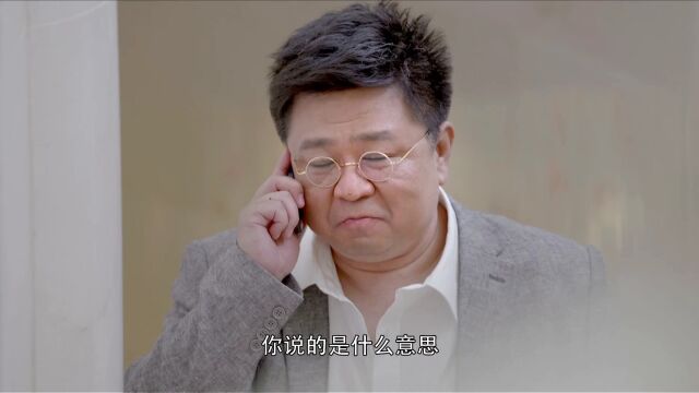 你说的是什么意思