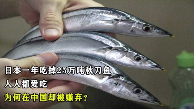 日本每年吃25万吨秋刀鱼,几乎人人爱吃,在中国却被嫌弃?